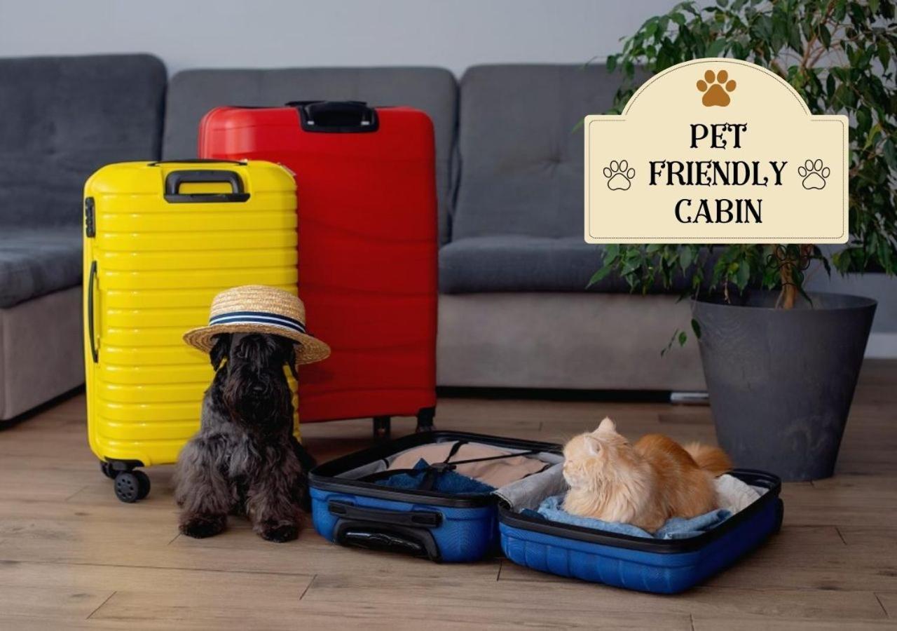 Fabulous Pet-Friendly, Family Cabin With Outdoor Kitchen, Hot Tub, Sauna, Fireplace, Theater Room, Arcade, Pool Table, And Fire Pit Within Minuties Of Dollywood Sevierville Eksteriør bilde